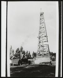 Petaluma Home Oil wells, Petaluma, California