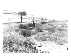 Highway 101 and railroad bridge south of Petaluma, California, 1963