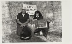 Grand Champion Market hog at the Sonoma County Fair, Santa Rosa, California, 1985