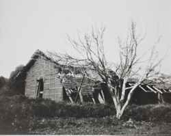 Carrillo Adobe, 2539-2861 Montgomery Drive, Santa Rosa, California