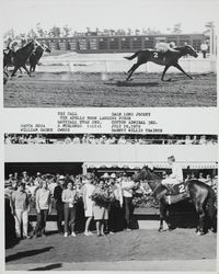 Photo finish and Winner's Circle for the Apollo Moon Landing Purse at the Sonoma County Fair Racetrack, Santa Rosa, California