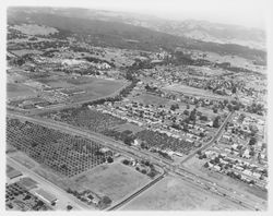 Aerial view of Coddingtown, Guerneville Road, Steele Lane, Highway 101 area, Santa Rosa, California, 1962