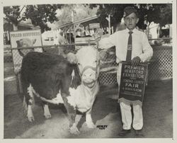 Premier Hereford exhibitor at the Sonoma County Fair, Santa Rosa, California, 1959