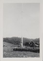 Erecting a flag pole at Bodega Bay