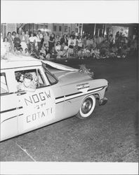 N.D.G.W. #299, Cotati, California, car in Fourth of July parade, Petaluma, California, 1955