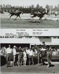 Photo finish and Winner's Circle for #7 horse "Miss Demuir" at the Sonoma County Fair Racetrack, Santa Rosa, California