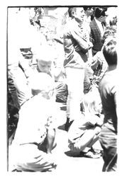 Crowds at the 1967 Sonoma-Marin Fair Parade, Petaluma, California