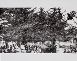 Gathering at Kenilworth Racetrack and Clubhouse, Kenilworth Park, Petaluma, California, about 1900