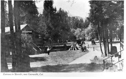 Entrance to Rionido [sic], near Guerneville, California