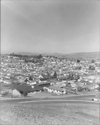 Panoramic view of Petaluma, California, about 1950, looking northeasterly from a hill above Petaluma High School