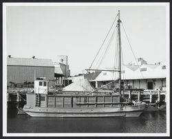 Schooner Alma docked on the Petaluma River in front of the Golden Eagle Mill, Petaluma, California, about 1938