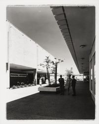 People standing between Emporium and Roos Atkins at Coddingtown Shopping Mall, Santa Rosa, California, 1967