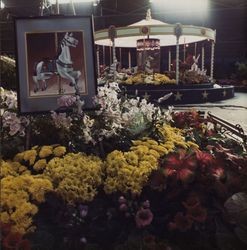 Jubilee of Flowers show at the Hall of Flowers at the Sonoma County Fair, Santa Rosa, California, 1986