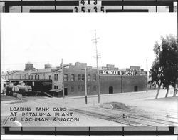 Loading tank cars at Petaluma, California plant of Lachman & Jacobi, 1915