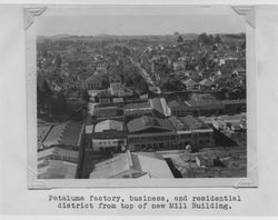 View from atop the Poultry Producers of Central California feed mill looking west from Petaluma Boulevard North and Martha Street, 1938