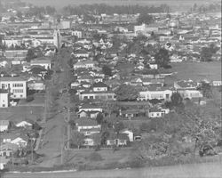 View of Petaluma, California from a hill above Petaluma High School, about 1939