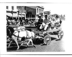 Ponies pulling a wagon in an unidentified Petaluma, California parade, about 1963