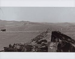 View of Wright Hill/Poff Ranch north of Bodega Bay, California, November 1954