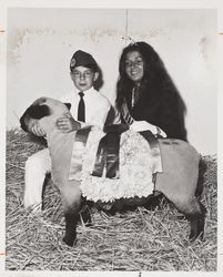 Champion sheep with Raymond Hagemann at the Sonoma County Fair, Santa Rosa, California, 1971