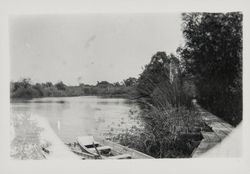 Unidentified scene along the Russian River