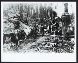 Logging at Duncan's Mill using a Dolbeer donkey