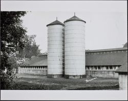 Barn and silos at Bear Valley Ranch, Point Reyes Station, California, about 1925