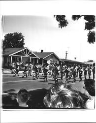 6th Army Band in the Sonoma-Marin Fair Parade, Petaluma, California, 1965