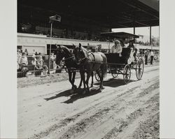 Surrey with the fringe on top at Farmers' Day at the Sonoma County Fair, Santa Rosa, California, 1986