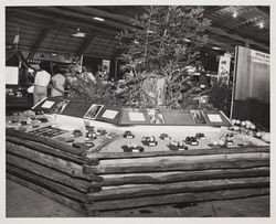 Windsor Farm Bureau exhibit at the Sonoma County Fair, Santa Rosa, California, July 16, 1964