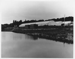 Idaco Lumber Company, Healdsburg, California, 1959