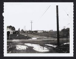 Looking west into Ditty Road from Hardies Lane