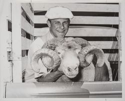 Portrait of Mike Bauman with his champion Dorset ram