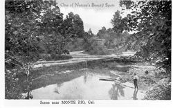 One of nature's beauty spots--scene near Monte Rio, California