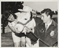 Ernie L. Marcucci with his polled Hereford at the Sonoma County Fair, Santa Rosa, California