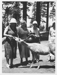 Native Daughters of the Golden West in Yosemite