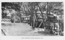 Fern Spring, Camp Meeker, California