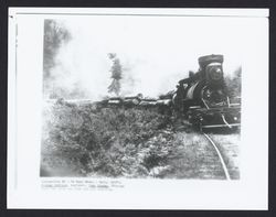 Locomotive #3 on Noyo River