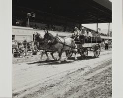 Draft team pulls milk wagon on Farmers' Day at the Sonoma County Fair, Santa Rosa, California, 1986