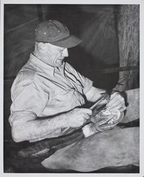 Tom Campbell nails on new horse shoe at the Sonoma County Fair Racetrack, Santa Rosa, California