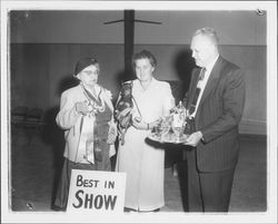 Best in show winning chihuahua being presented with silver tea set, Petaluma, California, 1958