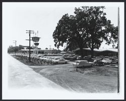 Parking lot of Los Robles Lodge, Santa Rosa, California, 1963