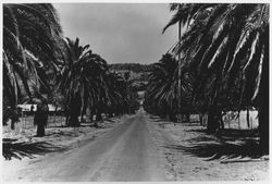 Entrance to the Nicholas Turkey Breeding Farms