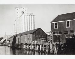 Dairyman's Feed Company building as seen from the Petaluma River, Petaluma, California, about 1954