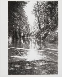 Streets of Guerneville during the flood of December 1937