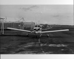 Planes on the ground and in the air at Sky Ranch, Petaluma, California, 1978