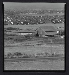 Unidentified Sonoma County barn, Petaluma, 1980s