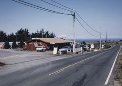 Harvey's Sea Gallery, Bodega Bay