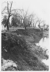 Santa Rosa Creek looking west from Davis Street bridge