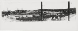 Refugees camp at Fort Mason, San Francisco, California, 1906