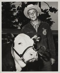 Bill Gibbe and his FFA Grand Champion Polled Hereford steer at the Sonoma County Fair, Santa Rosa, California, July 1958